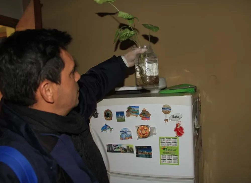 Dengue: el virus no está, pero sí el mosquito y temen que el clima lleve a su proliferación