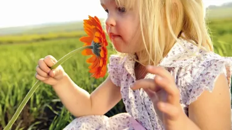 Diario de Cuyo | 2 728x644.webp