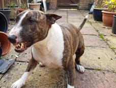 Imagen ilustrativa. Imagen ilustrativa.