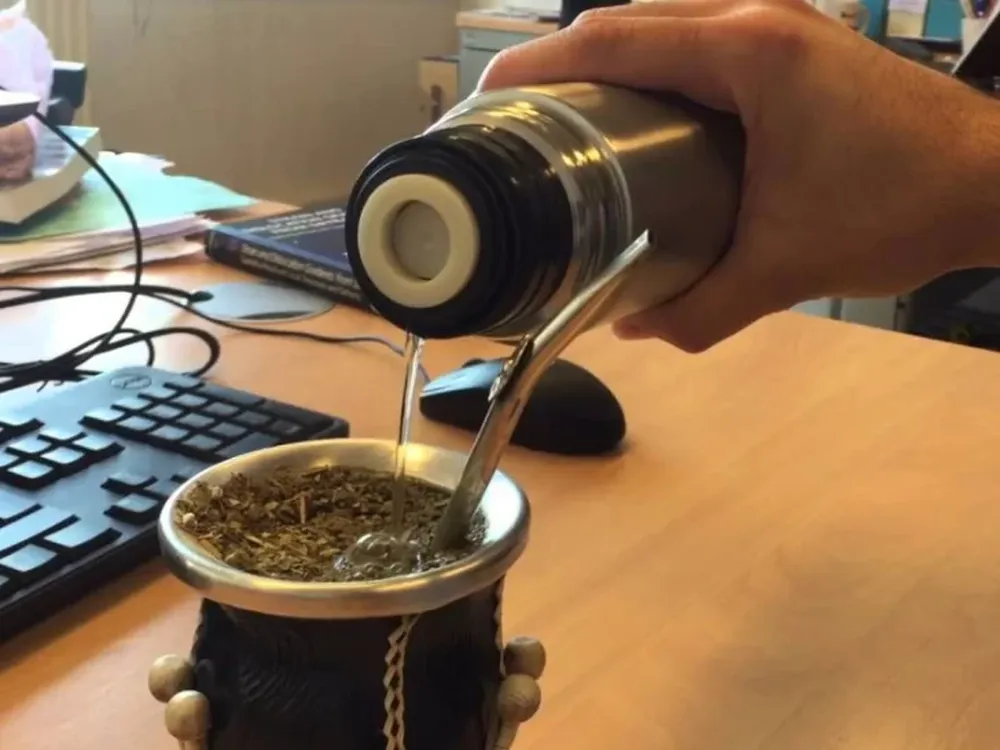 Mirá todos los tipos de mate y elegí el ideal para vos