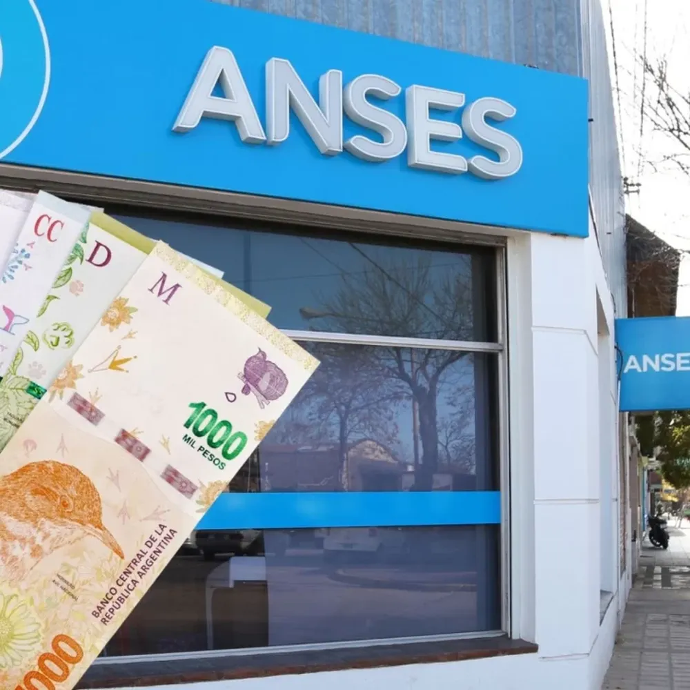 ANSES