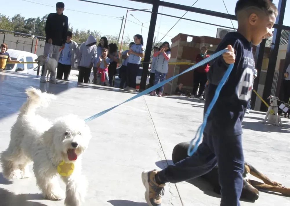 Nuevamente el municipio de San Martín organizó este año un desfile de mascotas para celebrar el Día del Animal.