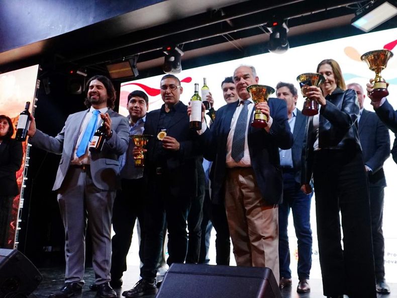 Los representantes de las bodegas ganadoras del Gran Oro levantan sus copas en el escenario del Salón Grazia, durante el momento más esperado de la gala de la 38ª Cata San Juan.