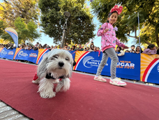 Las mascotas se lucieron en el desfile por el Día del Animal. Las mascotas se lucieron en el desfile por el Día del Animal.