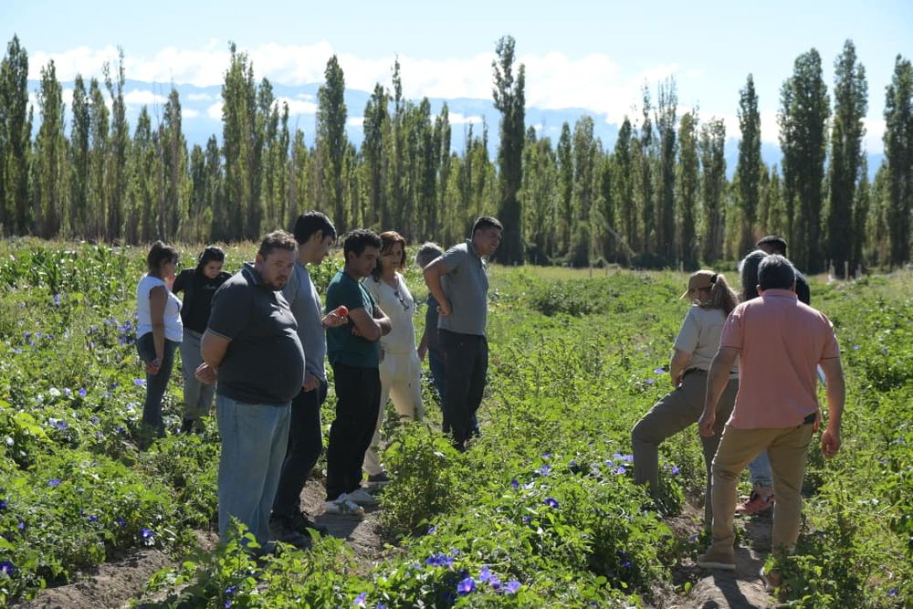 En Iglesia se dictó la Diplomatura de Extensión en Huerta Agroecológica, de la UNSJ, en la que participaron 25 vecinos.