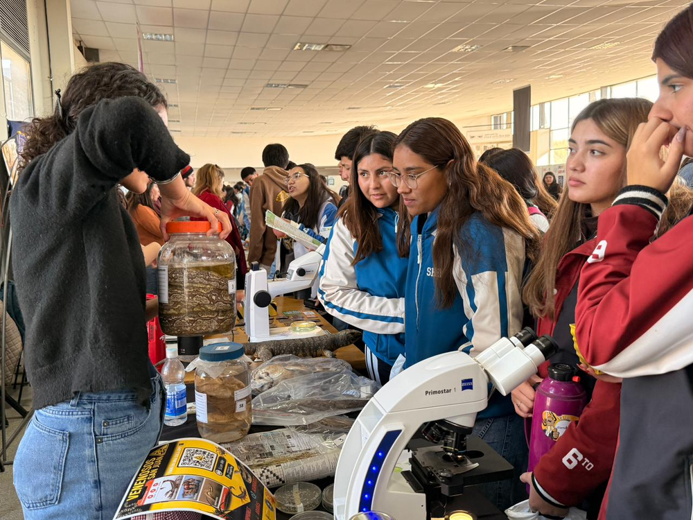 En el stand de la carrera de Biología los bichos, especialmente la serpiente dentro de un frasco, son los encargados de captar a los alumnos. En el stand de la carrera de Biología los bichos, especialmente la serpiente dentro de un frasco, son los encargados de captar a los alumnos.