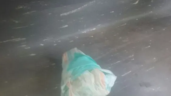 Pañal en colectivo