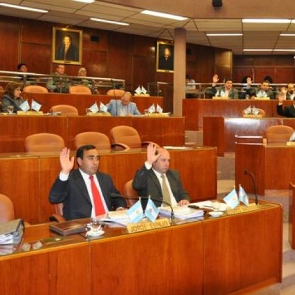 Diputados piden el veto