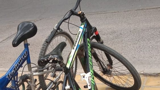 Roban bici frente a la Catedral