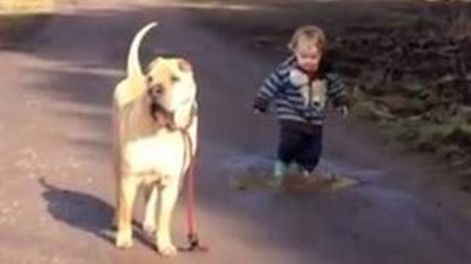 Grandes amigos