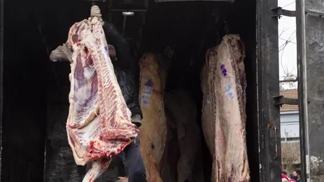 Cancelaron el troceo de la carne y seguirá la venta por media res