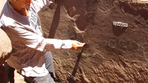 Sorpresa por huellas fósiles en La Rioja