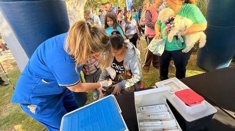 En el festejo del Día del Animal en Chimbas y en 9 de Julio se hará especial hincapié en la salud y cuidado de las mascotas.