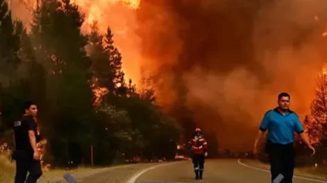 Los incendios forestales en Chile dejaron al menos 19 personas muertas