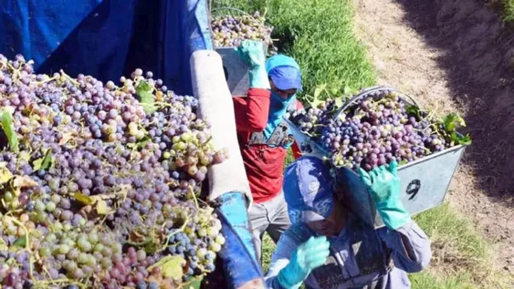 Desde enero, en la mitad de los días hubo registros por encima de los 35°