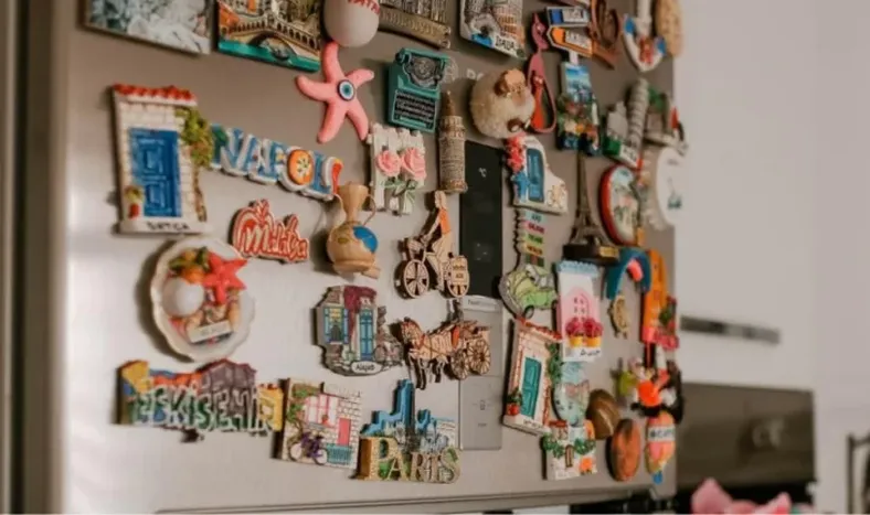 El macabro plan criminal que diseñó un hombre para matar a su esposa con un imán de heladera