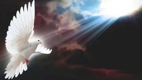 Diario de Cuyo | AQUÍ APARECE EL CONCEPTO verdad, que en la Biblia no es tanto un concepto abstracto o intelectual; en la Biblia, la verdad se vuelve vida, es operativa en todos los niveles existenciales, se siente con el corazón, se transmite con el sentimiento.