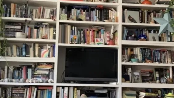 Encontrar al gato en pocos segundos, el nuevo reto viral