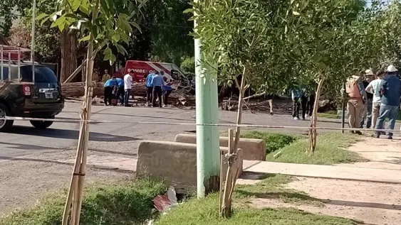 El duro testimonio de una mujer que vio caer el árbol que mató al hombre: “No pudo hacer nada”