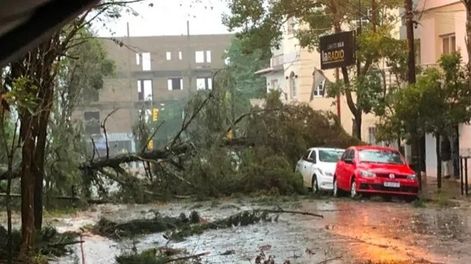 Inundaciones, destrozos y caída de árboles: lo que dejó la tormenta que azotó el AMBA