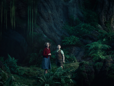 Greta Gerwig llevará nuevamente Narnia al cine con una historia centrada en el origen del universo fantástico.