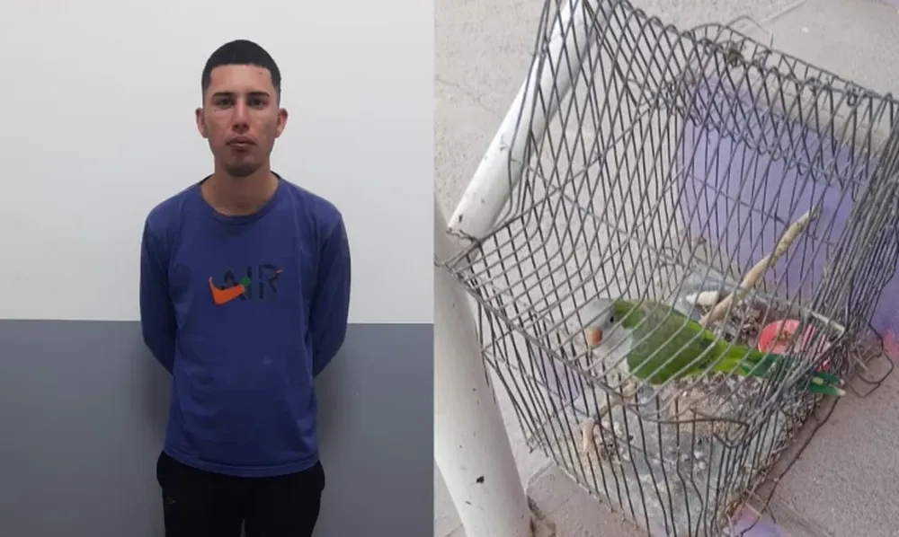 Robó una jaula con una cata y lo atraparon tras ser golpeado por vecinos