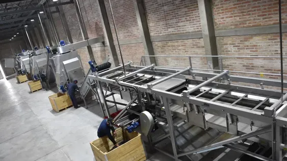 Las empresas paseras invierten fuerte en agregado de valor