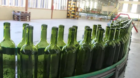 Diario de Cuyo | f1p8verde_crop1691209422337 728x547.webp