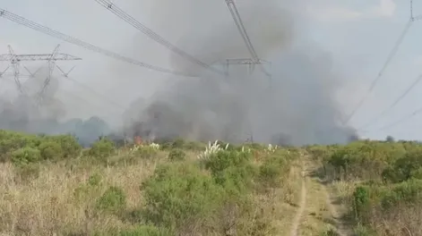 Unos menores iniciaron un incendio que arrasó con postes y dejó a la zona sin luz
