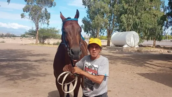 Caballos sanjuaninos, en San Isidro