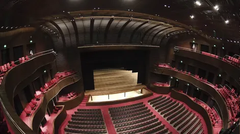 Diario de Cuyo | sala 728x483.webp