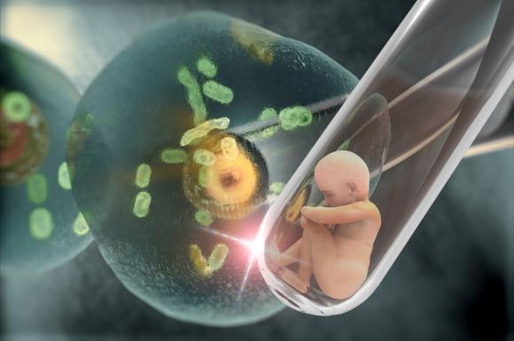 Paternidad por encargo