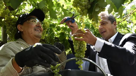 Massa estará hoy en Mendoza y se reunirá con referentes de la industria vitivinícola