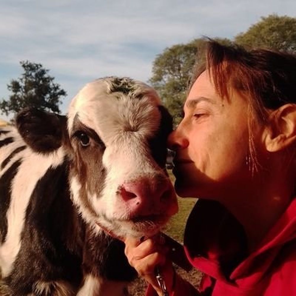 Los tambos sanjuaninos tienen un gran nicho entre las delicatessen