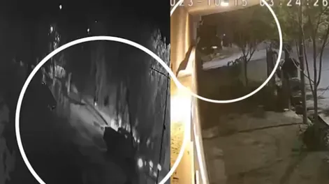 A un mes de la muerte de Lucía: el video que entrega detalles inéditos de cómo fue el accidente