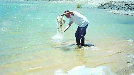 Seis especies de cultivo en el Instituto Hidrobiológico