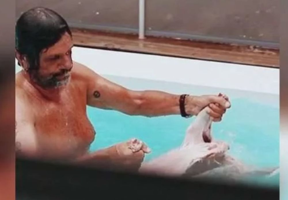 Filtran un nuevo video que pone fin a una de las dudas sobre el cordero