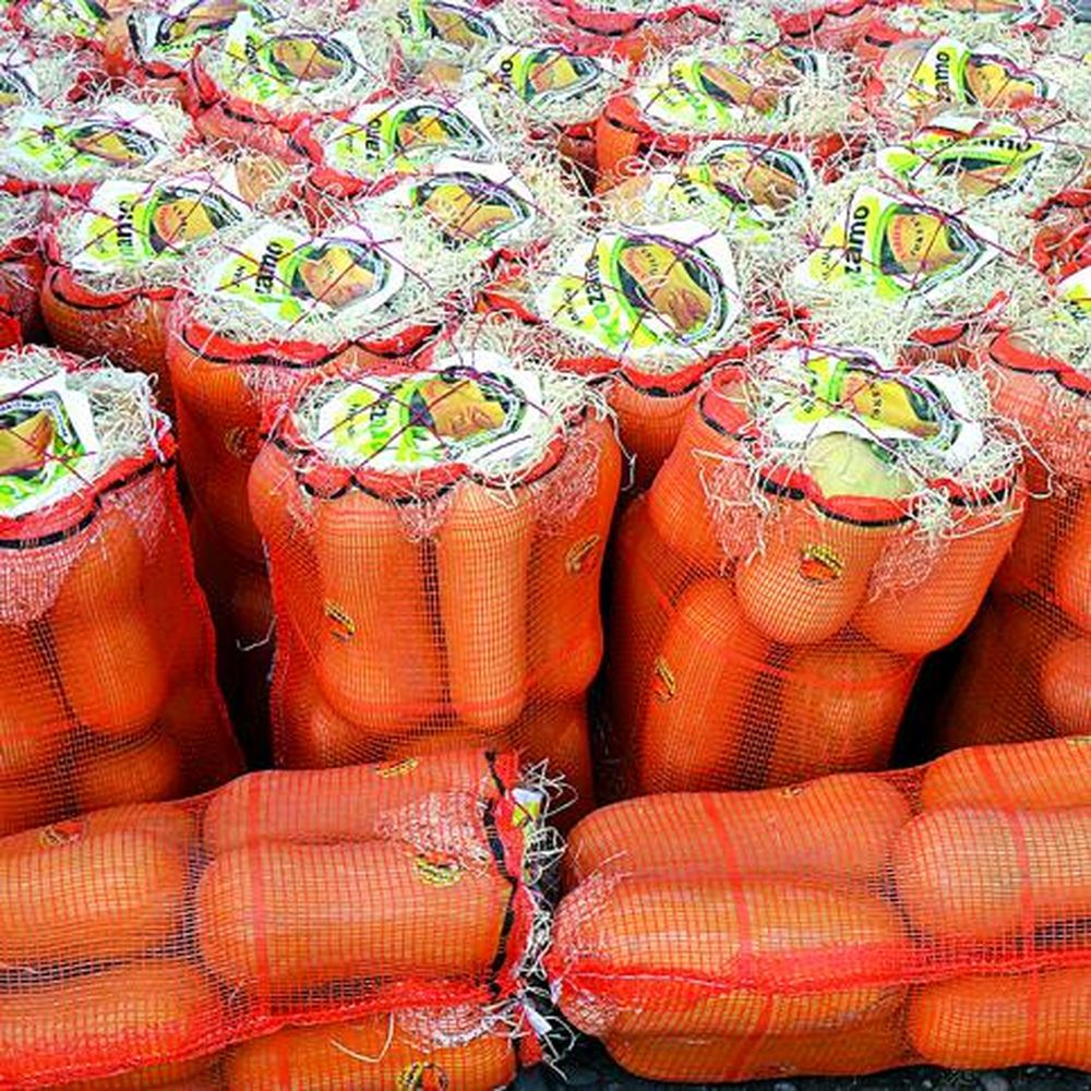 Asociativismo de productores de zapallo en Médano de Oro