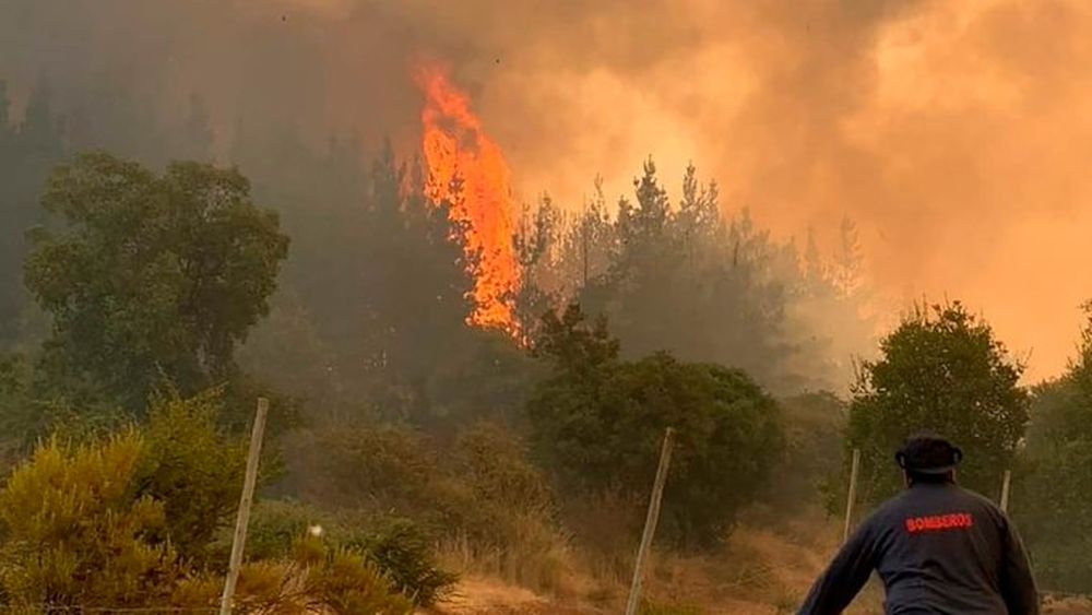 Chile declaró el estado de alerta por una ola de incendios forestales que afecta al centro del país