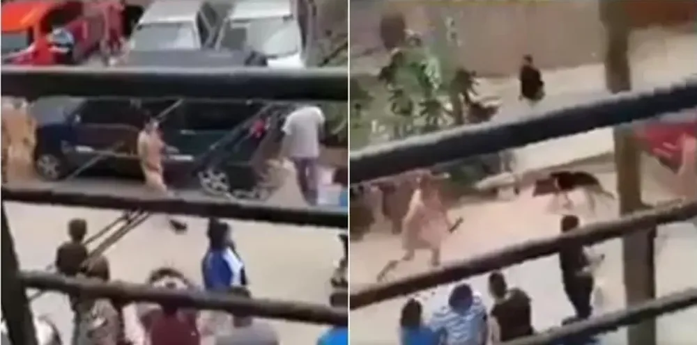 Vecinos desnudaron a tres delincuentes y los hicieron correr por el barrio