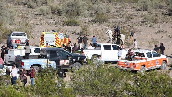 Encontró $3 millones, los devolvió y aceptó como recompensa un cordero