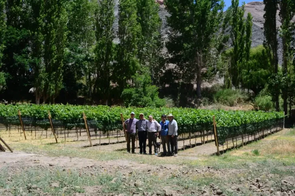 El Chinguillo ahora también es un vino (muy especial)