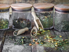las 11 hierbas aromaticas que podes cultivar en agua y crecen en pocos dias las 11 hierbas aromaticas que podes cultivar en agua y crecen en pocos dias