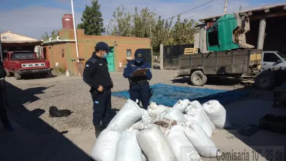 Secuestraron media tonelada de pasas de uva robadas y detuvieron a un sospechoso