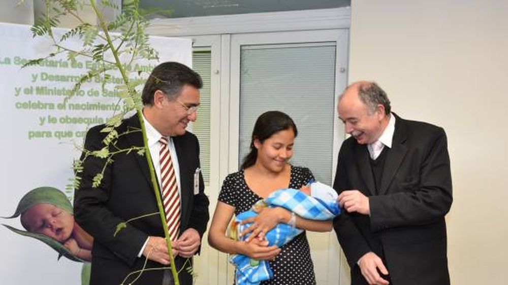 Un árbol para un bebé