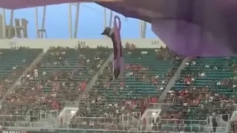 Fanáticos salvaron a un gato de una impresionante caída con una bandera de EEUU