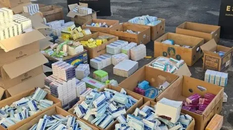 El valor de la mercadería secuestrada fue estimado en unos 45 millones de pesos.