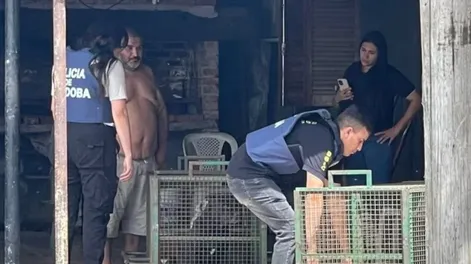 Brutal ataque de tres perros pitbull a un niño de 9 años: le mordieron la cabeza y está grave