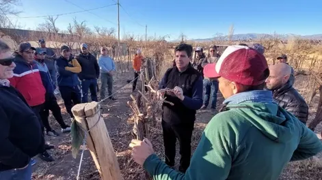 En Calingasta los podadores se formaron con el INV