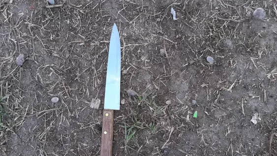 “¡Acá no entran, sino los corto enteros!”, amenazó a la policía por desbaratar una fiesta ilegal